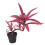 Faux Plastic Cordyline Dracaena Bamboos-S type Purple. leaf. 1