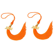 2026 Embroidered Tassels For Graduation Cap-Orange 2PCS