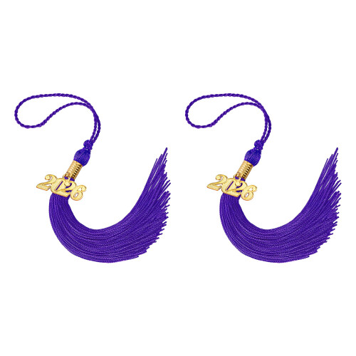 2026 Year Emblems Graduation Tassels For Cap-Purple 2PCS
