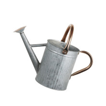 4L/5L Iron Watering Can Garden Watering-Iron original color