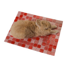 Small Animal Cooling Board Smooth Surfaces For Rabbits-Red S