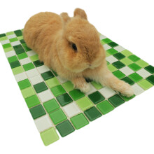 Quick Cooling Stone Board For Hamsters Rabbits Small-Green S