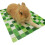 Quick Cooling Stone Board For Hamsters Rabbits Small-Green S 1