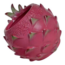 Sukkulenten-Töpfe mit Ablaufloch, Pitaya-Pflanzgefäß für-groß