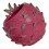 Pitaya Flower Pot Succulents Planter Dragon Fruit Shape-large 1