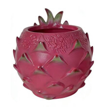 Cartoon Flower Pot Succulents Planter Pitaya Shape-small
