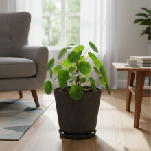 Planters with Saucers, Set of 2, Durable Plastic