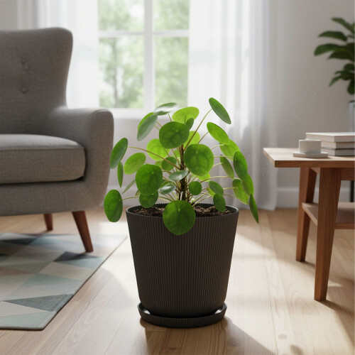 Planters with Saucers, Set of 2, Durable Plastic