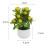 Bonsai artificial cu 12 fructe, plastic, 23 cm 5