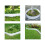 10PCS Plastic Garden Edging Strips with Easy Together-Green 5