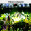 Efficient Plastic Habitat Waterer For Reptiles Best Living 7