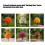 Artificial Morning Glory Flower Stake Realistic Green-Yellow 5