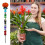 Decoração de jardim em forma de abóbora de 33 cm (13 polegadas) 4