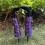 Gambe da strega a righe con tacchi alti – 2 pezzi Halloween 5