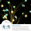 LED-Lichterkette mit Meeresmuscheln – 2 m oder 3 m 2