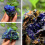 Natural azurite malachite geode crystal specimen 1 piece 2