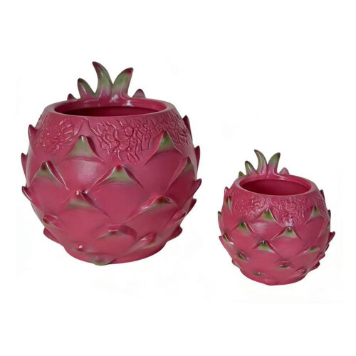 Succulents Pots with Drainage,Cartoon Pitaya Planter-large 1