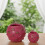 Succulents Pots with Drainage,Cartoon Pitaya Planter-small 3