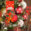 Christmas fabric hanging leg decor 1 piece 5