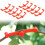 10Pack Plant Training Clips,Plastic Plant Clip Low Stress 2