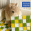 Chew Resistant Small Animal Cooling Board Stone-Green S 5