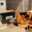 6Pcs Spacious Poultry Feeding Tray constructed From Hard ABS 2