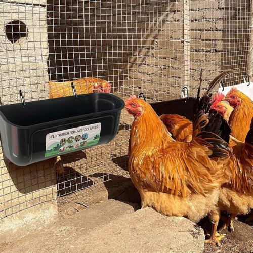 6Pcs Spacious Poultry Feeding Tray constructed From Hard ABS 1