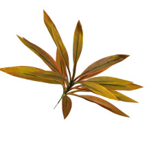 Elegante Dracaena-Pflanze aus künstlichem Brasilholz,-Kaffee