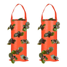 Breathable Hanging Plant Bags For Strawberries-Tangerine