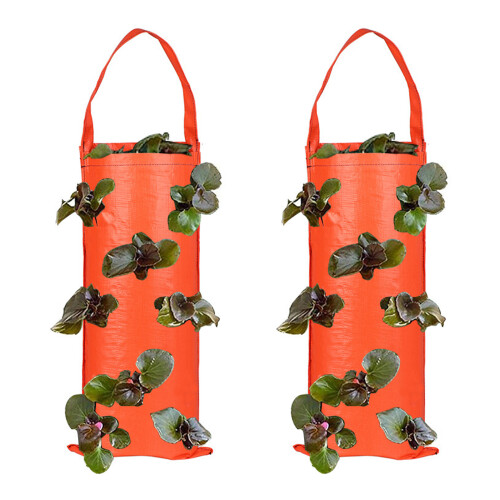 Grow-Bag-Beutel für den Außenbereich mit optimaler-Mandarine