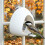 Fenster-Saugnapf-Vogelfutterstation mit transparentem-Weiß 3