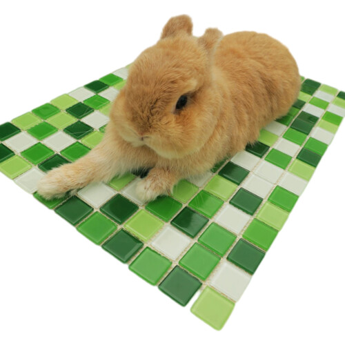 Chew Resistant Small Animal Cooling Board Stone-Green S
