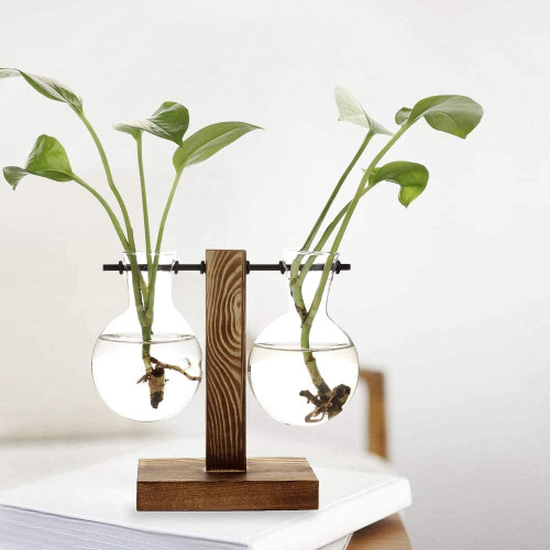 Maceta de cristal para bulbos con soporte de madera 1