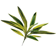 Elegant Faux Brazilwood Dracaena Plant Duurzaam Zijde-Geel groen