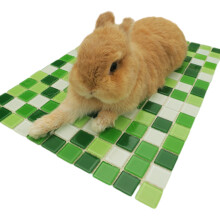 Hittebestendig stenen koelnest voor knaagdieren,-Groene S