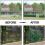 Painel de cerca de hera artificial 118x39,4 polegadas verde 4