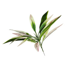 Prachtige Brazilwood Dracaena Faux Plant Zijde-wit groen