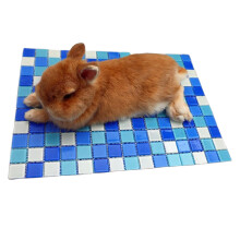 Quick Cooling Stone Board For Hamsters Rabbits Small Pet-Blue L