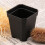 200PCS Plant Disposable Flower Pot Small Black Square Cutting Seedling Plastic Square Pot 5