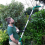 ECKMAN 20V Cordless Telescopic Trimmer Kit Tool 4