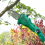 ECKMAN 20V Cordless Telescopic Trimmer Kit Tool 6