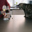 Scoop Animal De Compagnie Usage Coloré 9