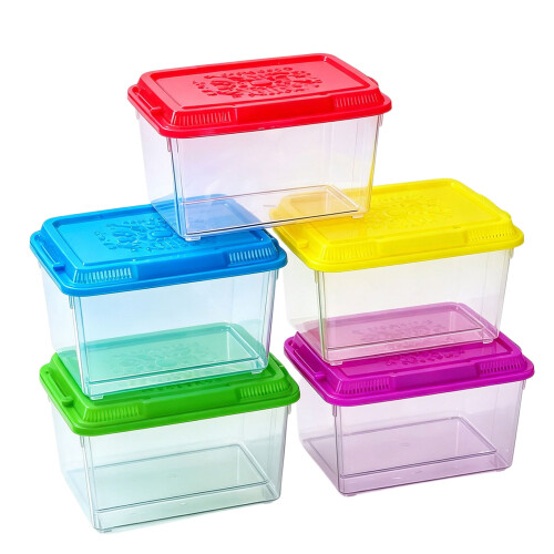 Draagbare hagedissenboxcontainer met afneembaar-22x14x15cm