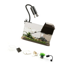 Aquarium de réservoirs de tortues avec-noir marron petit
