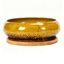 Succulents Bowl Planter Water Planting Container-Yellow hole1
