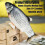 Electric Moving Fish Interactive Plush Toys 2