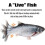Electric Moving Fish Interactive Plush Toys 3