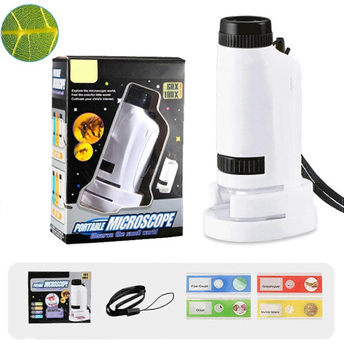 60x-120x Zoom Pocket Microscope with LED Light | Portable Handheld Mini Microscope | 5-Piece Set Includes Carrying Case | for Science Education 1