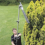ECKMAN Elite 9ft Extendable Hedge Trimmer Tool 4