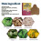Bunion Relief Patch  Natural Extracts for Pain  Swelling Relief, 5pcs 4